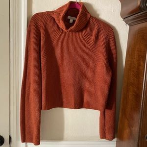 Cropped lose fitting turtle neck